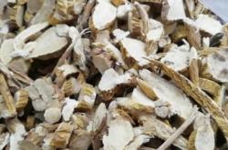 赤峰防風(fēng)藥材種植基地電話號碼