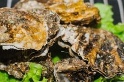 赤峰現(xiàn)場(chǎng)烤生蠔店地址電話號(hào)碼