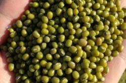 赤峰麻醬加工廠電話號碼查詢