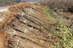 赤峰桓仁劉家苗圃電話多少號