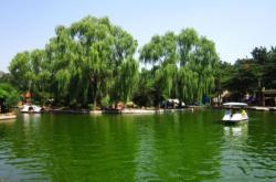 赤峰市新區(qū)植物園電話號碼