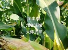 赤峰平莊招鏟車司機(jī)電話號(hào)碼