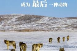 赤峰野生動物保護(hù)站電話號碼