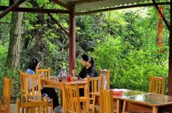 赤峰景山杜鵑花基地電話號碼