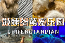 赤峰花卉養(yǎng)殖基地