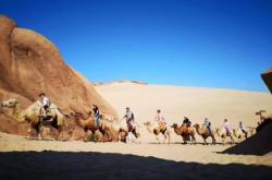 赤峰市大宇山莊電話號碼查詢