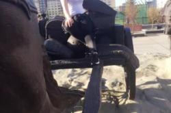 赤峰趙姐豆干店地址電話號碼