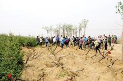 赤峰穆家營中醫(yī)院電話號碼