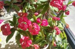 赤峰寧城縣理發(fā)店電話號(hào)碼