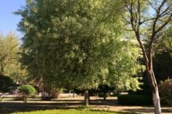 赤峰紅山區(qū)鑫緣賓館電話號(hào)碼