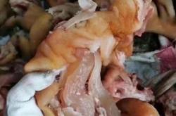 赤峰大鵝牛頭店電話號(hào)碼多少