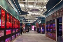 赤峰寵物水族館電話多少號(hào)