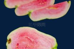 赤峰水果芭樂批發(fā)市場(chǎng)電話號(hào)碼