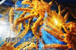 赤峰福心餃子館地址電話號(hào)碼