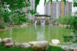 赤峰丹龍房產(chǎn)證辦理電話號碼