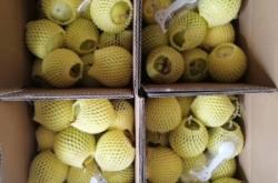 赤峰直播帶貨水果店電話號碼