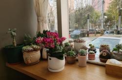 赤峰小資咖啡館電話多少號