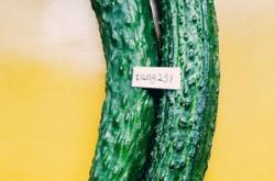 赤峰市區(qū)蔬菜包裝廠電話號(hào)碼