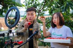 赤峰帶貨基地電話號(hào)碼多少