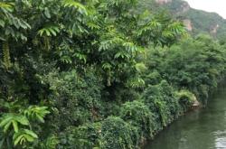 赤峰錦山巴士涮肉坊電話號(hào)碼