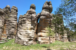 赤峰阿旗禁牧舉報電話是多少