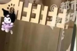 赤峰貓咪配對(duì)公司電話是多少號(hào)