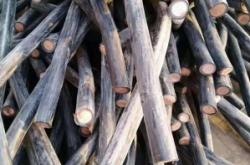 赤峰回收鴨油廠家電話號碼