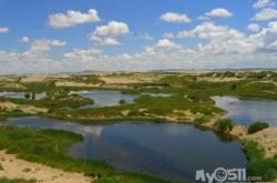 內蒙赤峰草原酒店電話號碼多少