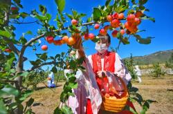 赤峰市八棱海棠社區(qū)電話號(hào)碼