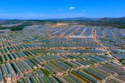 赤峰有24小時(shí)的寵物醫(yī)院?jiǎn)?><span>便民電話</span></a></div><div   id=