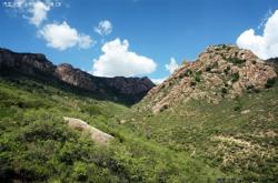 葫蘆島赤峰客運(yùn)站電話號(hào)碼