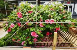 赤峰御研堂聯(lián)系人電話號碼