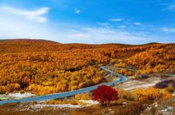 赤峰騾馬市場電話地址是多少號