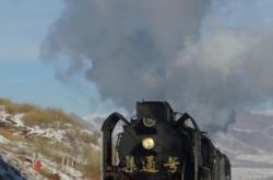 赤峰二手?jǐn)z影燈市場(chǎng)電話號(hào)碼