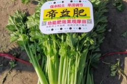 赤峰硅棒收購廠家電話地址查詢