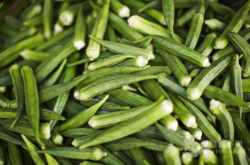 赤峰秋葵清洗機電話號碼查詢