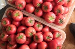 赤峰大廟粉果店電話號(hào)碼查詢