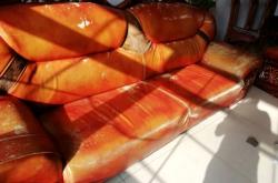 赤峰貂皮維修點(diǎn)電話號(hào)碼查詢