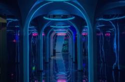 赤峰哈曼ktv二部電話號碼