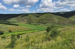 內(nèi)蒙赤峰西烏旗羊肉店電話號碼