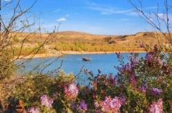 赤峰老哈河黑魚館電話號碼多少