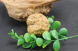 赤峰崖柏商貿(mào)公司電話號(hào)碼查詢