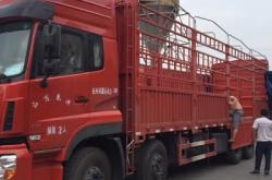 赤峰找13米貨車車隊(duì)電話號(hào)碼