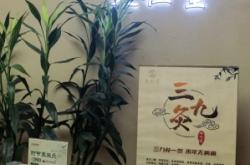 赤峰肩頸按摩團(tuán)購電話號碼是多少