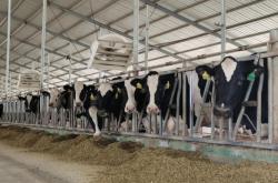 赤峰康貝奶牛場(chǎng)電話地址查詢