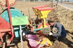 赤峰收玉米粒電話(huà)號(hào)碼是多少