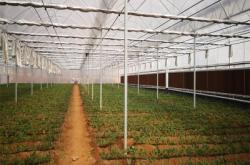 赤峰棚膜顆粒廠家電話號碼