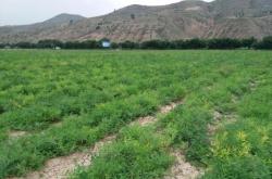 赤峰松山區(qū)財政局電話號碼