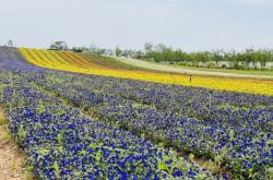赤峰熱水鎮(zhèn)露營地點(diǎn)電話號(hào)碼