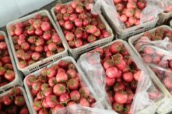 赤峰鐵皮加工廠電話號碼多少